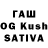 Псилоцибиновые грибы Magic Shrooms Maksat Jumamyradow