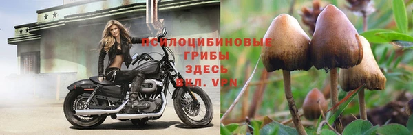 СК Нязепетровск