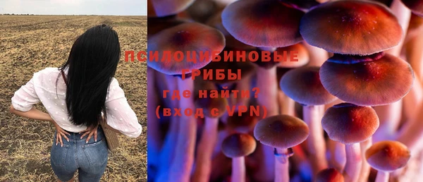 альфа пвп Нягань