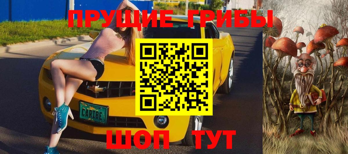 закладки  Аша  Галлюциногенные грибы Psilocybine cubensis 