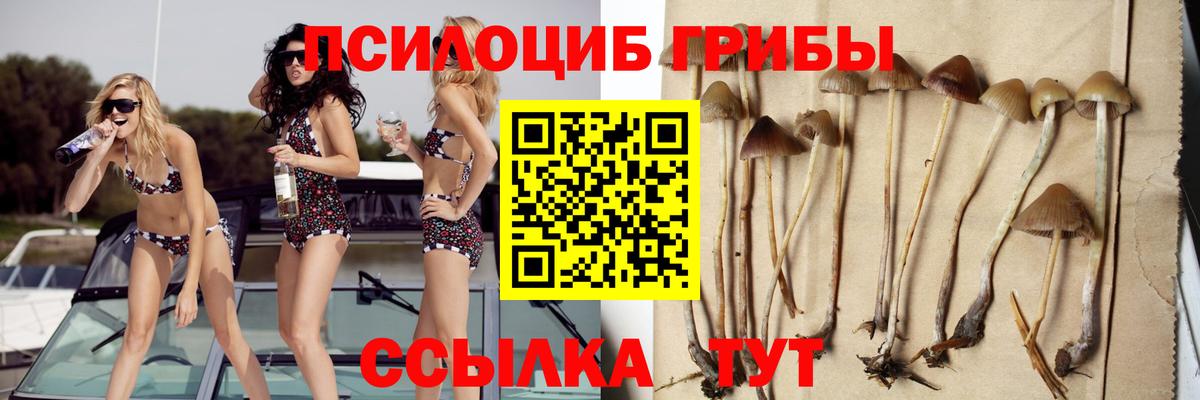 наркошоп  Галлюциногенные грибы GOLDEN TEACHER  Вход с VPN  Галлюциногенные грибы мухоморы  Аша 